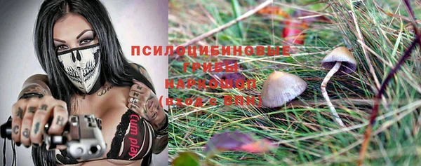 эйфоретик Алзамай