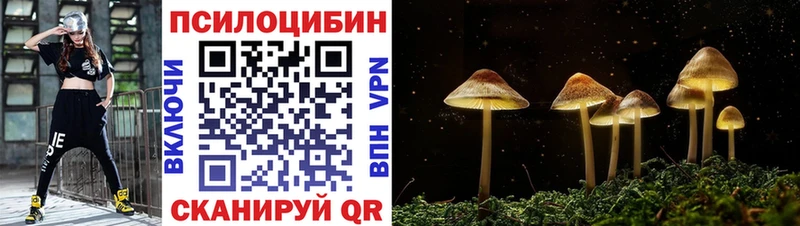 ссылка на мегу вход  дарнет шоп  дарк нет наркотические препараты  Галлюциногенные грибы Magic Shrooms  Жирновск 